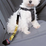Golden Rooster Print Dog Seat Belt