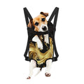 Golden Rooster Print Pet Carrier Backpack