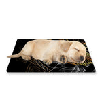 Golden Spiritual Koi Fish Print Pet Cooling Mat Cover