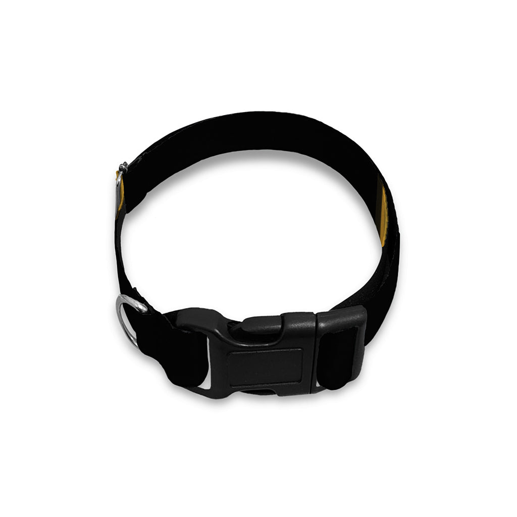 Golden Star of David Print Dog Collar