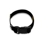 Golden Star of David Print Dog Collar