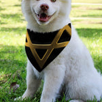 Golden Star of David Print Over The Collar Dog Bandana