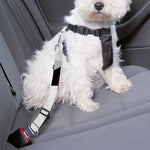 Golf Ball Breaking Wall Print Dog Seat Belt