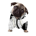 Golf Ball Breaking Wall Print Dog Zip Up Hoodie