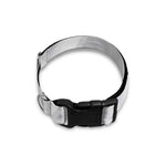 Golf Ball Print Dog Collar