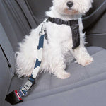 Good Night Koala Pattern Print Dog Seat Belt