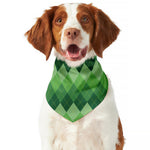 Grass Green Argyle Pattern Print Dog Bandana