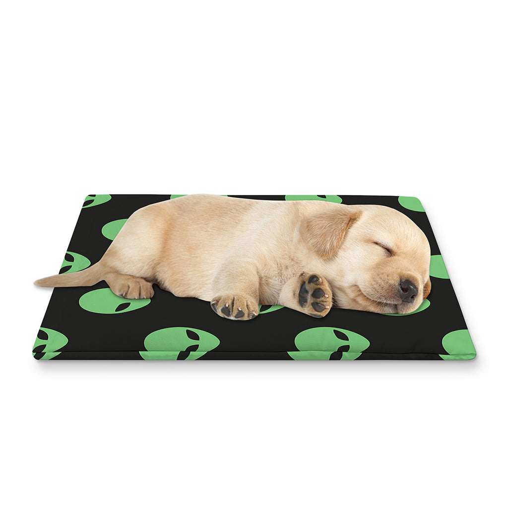Green Alien Face Print Pet Cooling Mat Cover