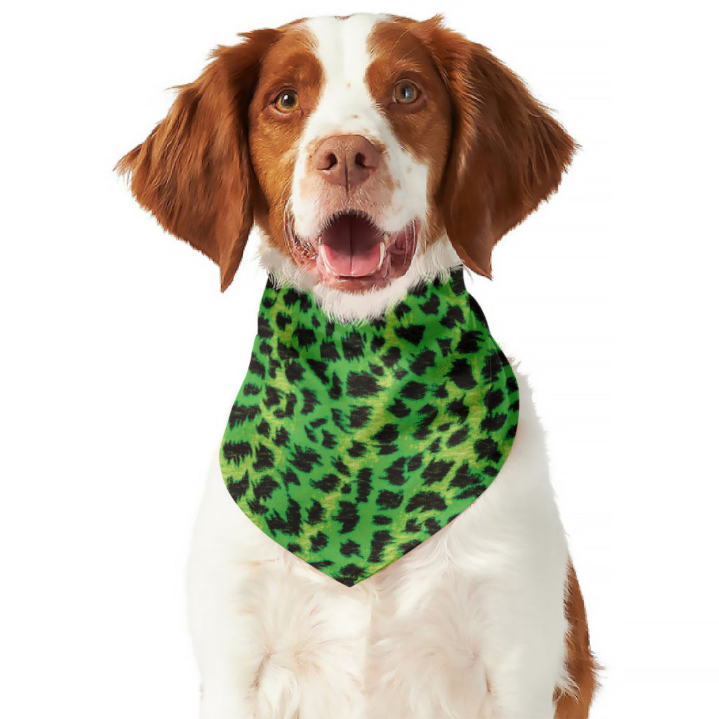 Green And Black Cheetah Print Dog Bandana