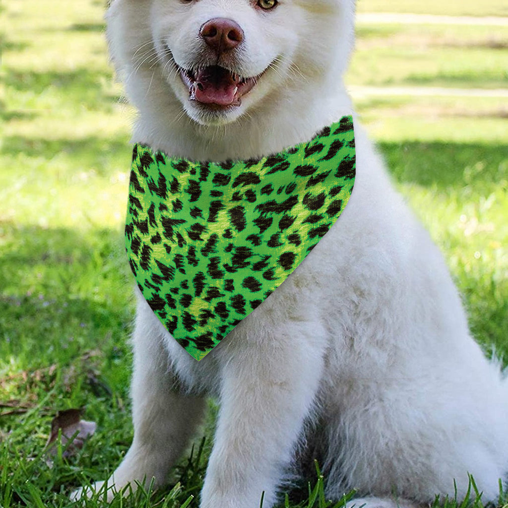 Green And Black Cheetah Print Over The Collar Dog Bandana