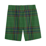 Green And Blue Stewart Tartan Print Men's Sports Shorts
