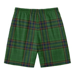 Green And Blue Stewart Tartan Print Men's Swim Trunks