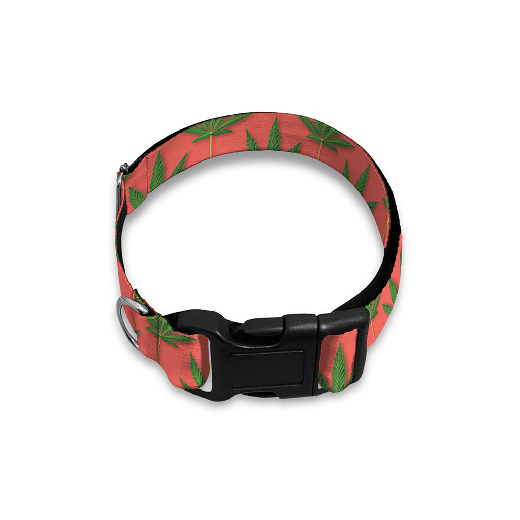 Green And Pink Cannabis Leaf Print Dog Collar