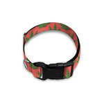 Green And Pink Cannabis Leaf Print Dog Collar