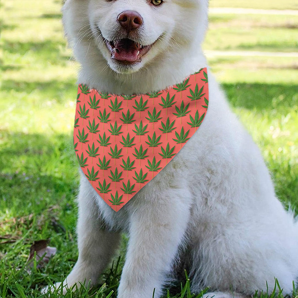 Green And Pink Cannabis Leaf Print Over The Collar Dog Bandana