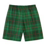Green And Red Stewart Tartan Print Men's Swim Trunks