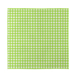 Green And White Check Pattern Print Silk Bandana