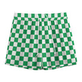 Green And White Checkered Pattern Print Mesh Shorts