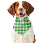 Green And White Gingham Pattern Print Dog Bandana