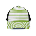 Green And White Striped Pattern Print Black Mesh Trucker Hat