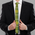 Green And Yellow Stewart Tartan Print Necktie