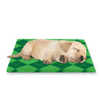 Green Argyle Pattern Print Pet Cooling Mat Cover