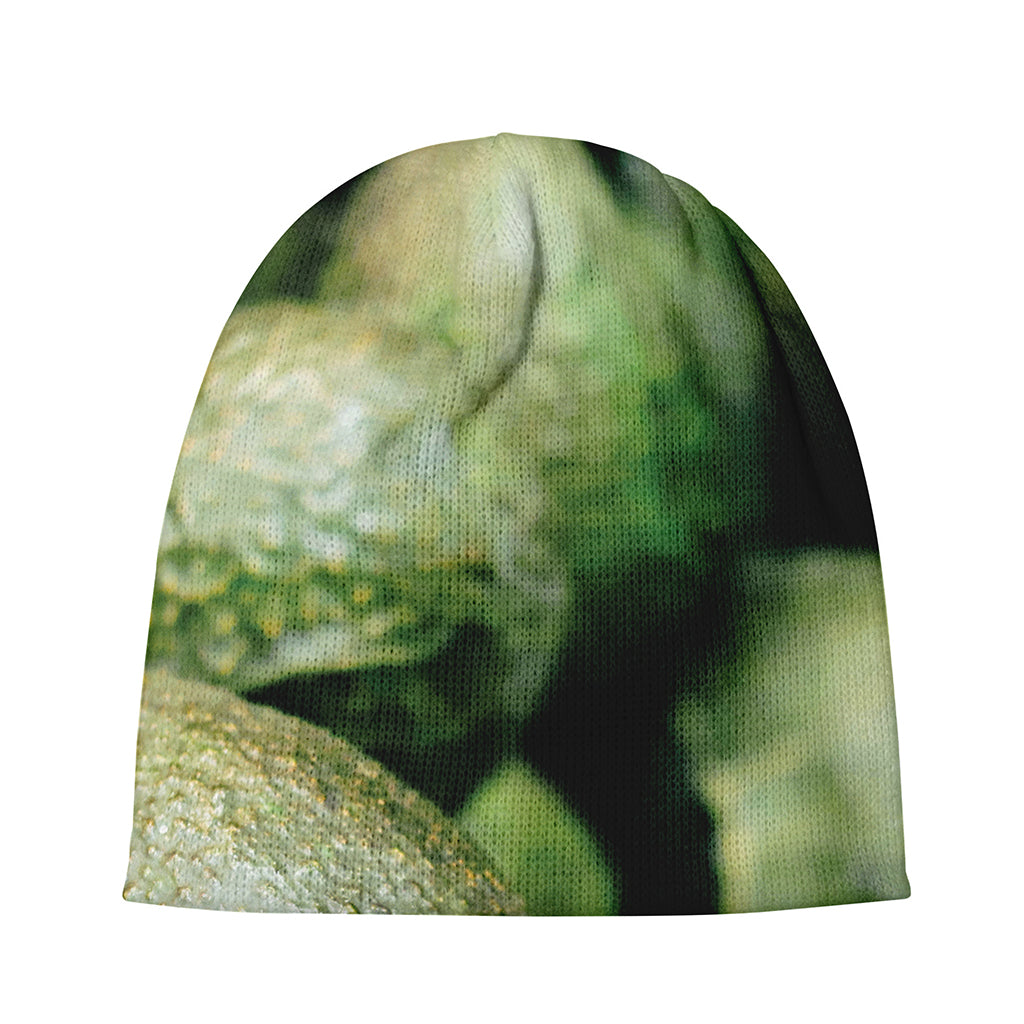 Green Avocado Print Beanie