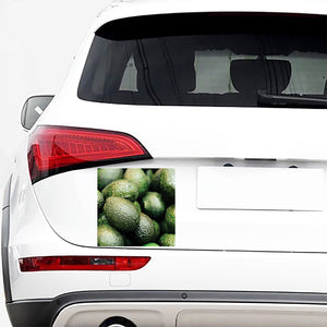 Green Avocado Print Car Sticker