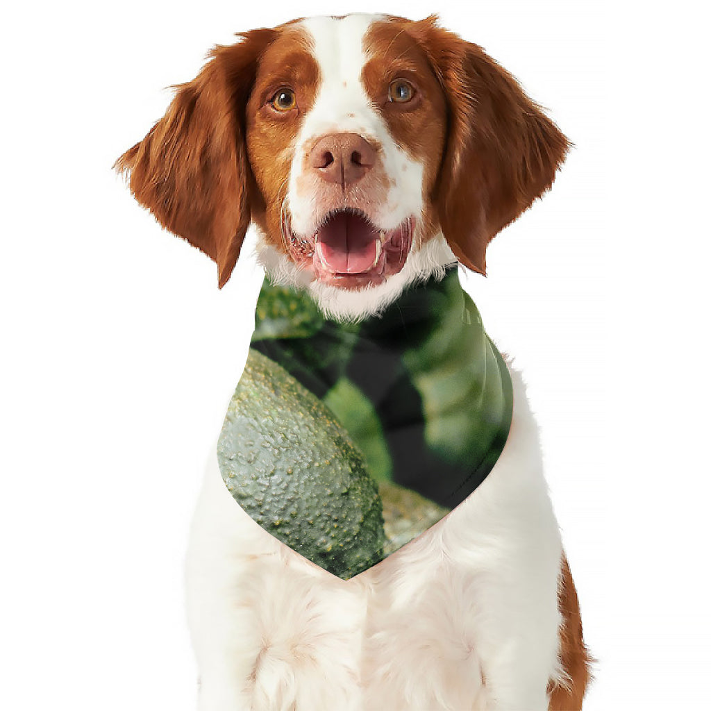 Green Avocado Print Dog Bandana