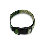Green Avocado Print Dog Collar