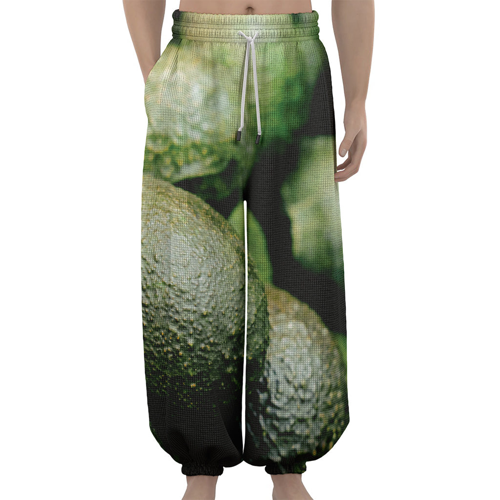 Green Avocado Print Lantern Pants