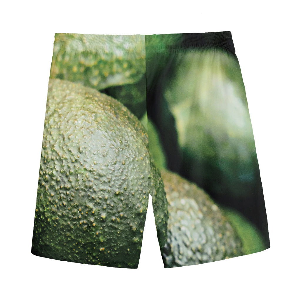 Green Avocado Print Men's Sports Shorts