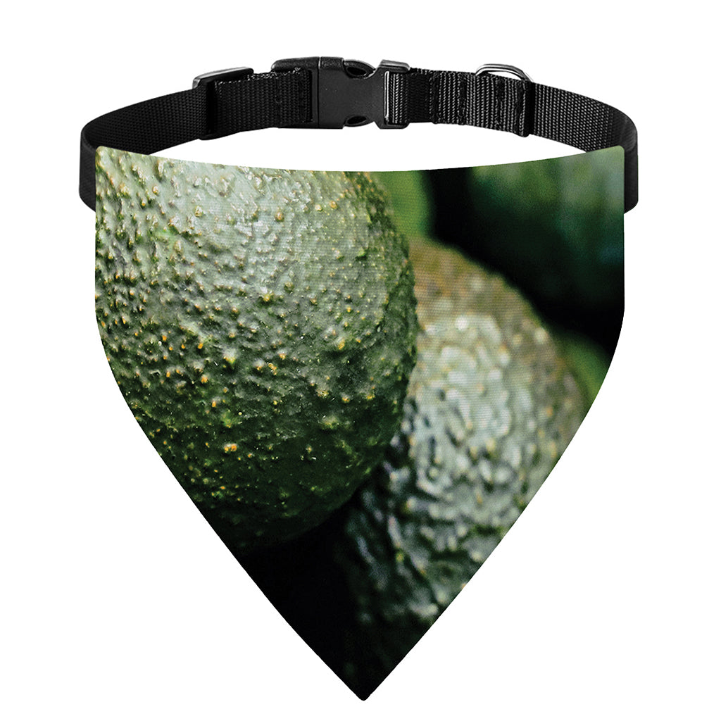 Green Avocado Print Over The Collar Dog Bandana