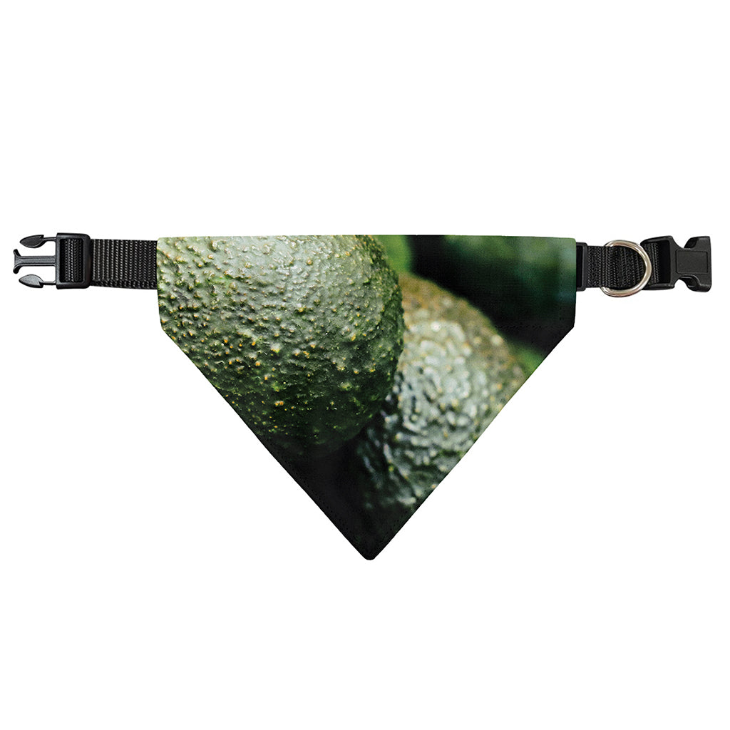 Green Avocado Print Over The Collar Dog Bandana