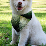 Green Avocado Print Over The Collar Dog Bandana