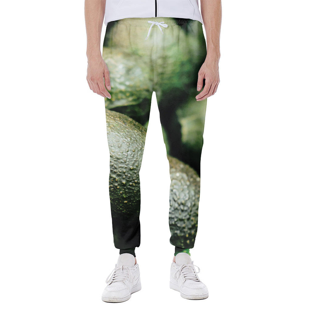 Green Avocado Print Scuba Joggers