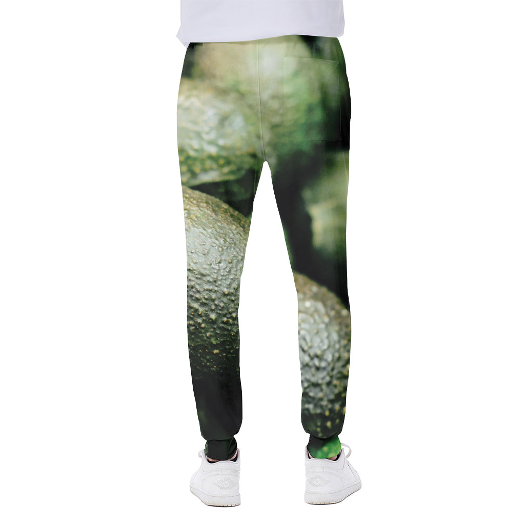 Green Avocado Print Scuba Joggers