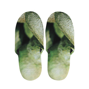 Green Avocado Print Slippers