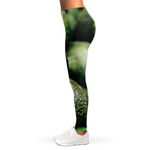 Green Avocado Print Women's Leggings