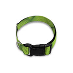 Green Bamboo Print Dog Collar