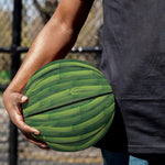 Green Bamboo Tree Pattern Print Basketball