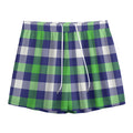 Green Blue And White Buffalo Plaid Print Mesh Shorts