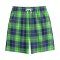 Green Blue And White Tartan Print Cotton Shorts