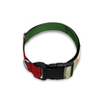 Green Bull And Red Bear Stock Print Dog Collar