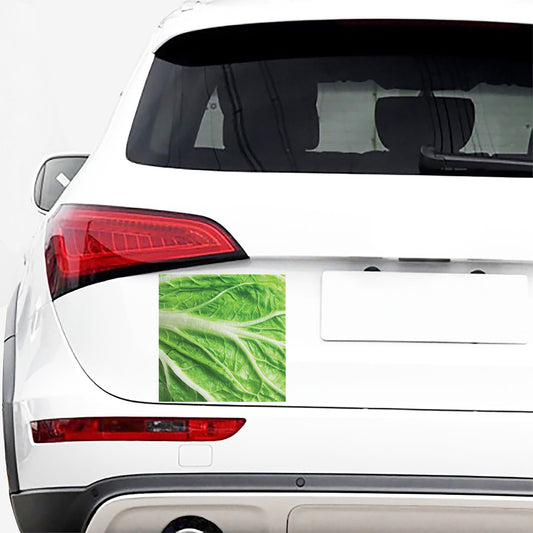 Green Cabbage Leaf Print Car Sticker