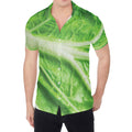Green Cabbage Leaf Print Men's Shirt