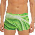 Green Cabbage Leaf Print Men's Short Boxer Briefs