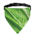 Green Cabbage Leaf Print Over The Collar Dog Bandana