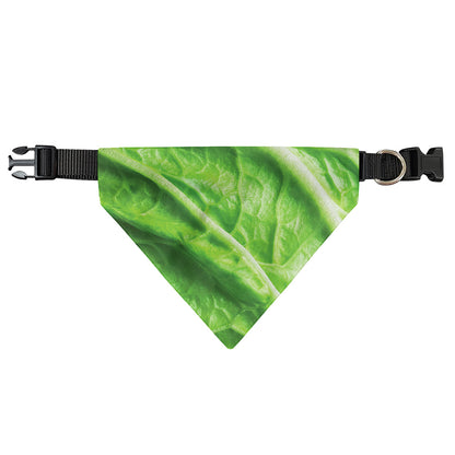 Green Cabbage Leaf Print Over The Collar Dog Bandana