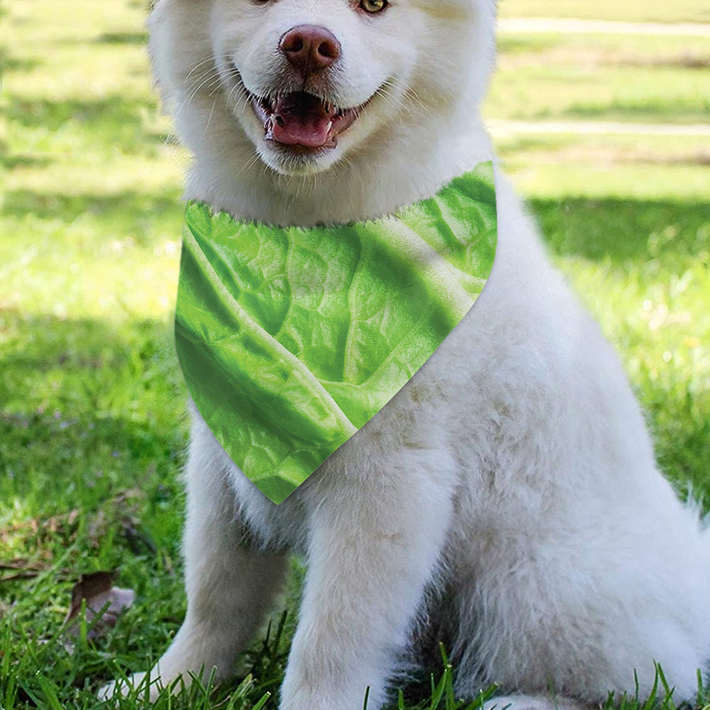 Green Cabbage Leaf Print Over The Collar Dog Bandana